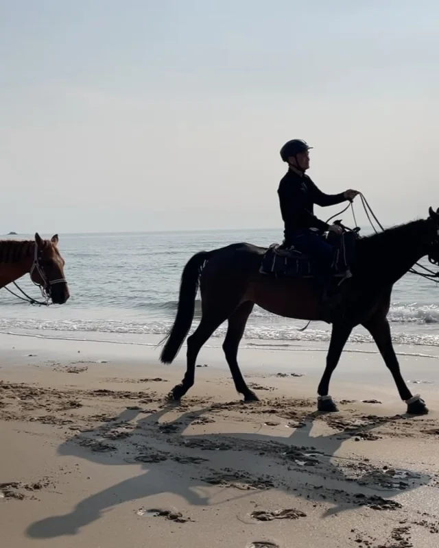 長男夫婦と乗馬🏇体験😆初めての乗馬にも関わらず馬を走らせることもあって…💦

『２拍子を取って身体を合わせて
下さい』と言われて
両手で鞍を握りしめながら
必死で
『１.２.１.2』を呟きました！

こんなに弾むのね💦
乗馬系の曲は
今までより臨場感溢れる演奏が
出来るかも…😆

拍子感、大事👌

お尻は跳ねて浮き上がるし
ドキドキしましたが
1時間半後には余裕すら…

馬を降りたら膝もお尻も
ワナワナ🫨

お利口さんな相棒ラリーちゃんの
お陰で楽しい体験が出来ました♡

ラリーちゃんは
映画『キングダム』にも出てた
お利口ちゃんだそうです。
助かりました😆

こんな体験を提案してくれた
息子夫婦にも感謝です⭐️

#福岡カナディアンキャンプ乗馬クラブ
#川西市ピアノ教室
#川西市リトミック教室
#兵庫県川西市
#ピアノ
#リトミック
#絶対音感
#リトミック研究センター
#ディプロマA
#松田知育ピアノ