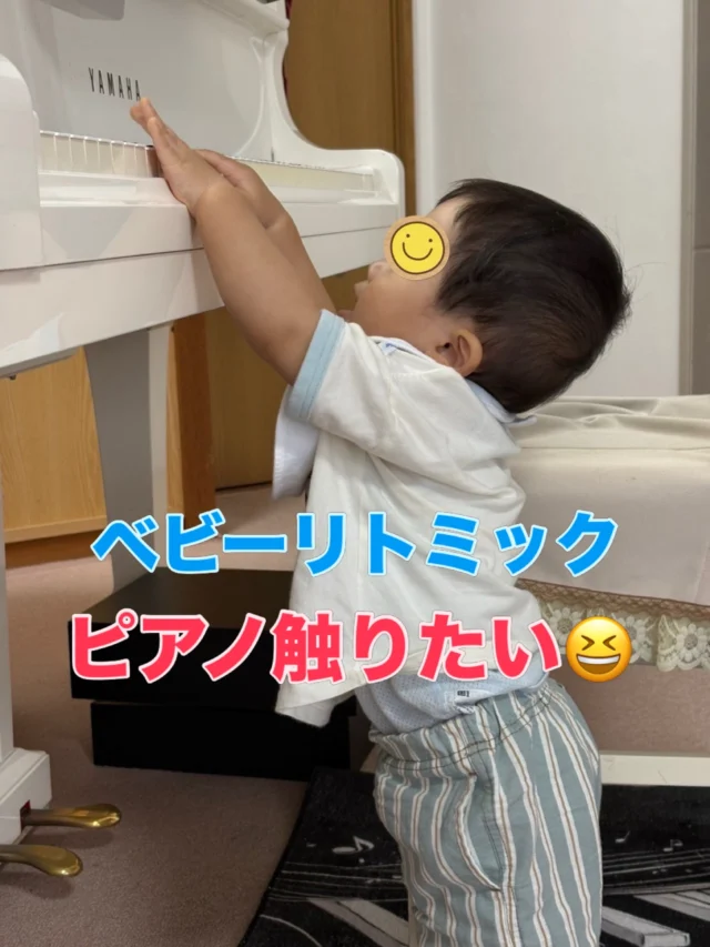 もう少しで歩けそうなベビーくん💓
つかまり立ちでピアノに手を伸ばし…

先生の弾くピアノに興味シンシン🎶
ボールや鉄琴に太鼓に…
色んな物に触れて
刺激になってるはず😆

帰りに寝ちゃうだろうな…♡

#川西市ピアノ教室
#川西市リトミック教室
#ピアノ
#リトミック
#ベビー
リトミック研究センター認定教室
ディプロマA資格所持
松田知育ピアノ
かすみリトピア会員